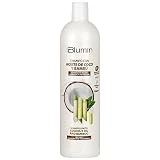 Blumin Champú con Aceite de Coco y Bambú Orgánico para cabellos normales o secos, 1000 ml