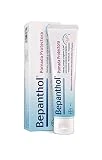 Bepanthol Pomada Protectora Hidratante, Protege y Regenera la Piel Seca, Irritada o Sensibilizada por Factores Externos, 100 g