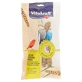 Vitakraft - Vita Nature para Pájaros, Espigas de Mijo Amarillo Natural - Bolsa de 100 g