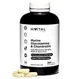 Glucosamina con Condroitina | 365 cápsulas | Con MSM, Boswellia Serrata y Quercetina | Antiinflamatorio, fortalece los huesos y los cartílagos
