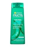 Garnier Fructis Pure Fresh Agua de Coco Champú Pelo Normal, con raíces grasas y puntas secas - 380 ml