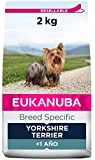 EUKANUBA Breed Specific Alimento seco para perros yorkshire terrier adultos, alimento para perros óptimamente adaptado a la raza 2 kg