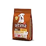 Ultima Pequeño Adulto con Buey, Comida seca para perros, 3kg