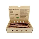 FRISAFRAN - Regaliz de palo FRESCO | Ecológico | paloduz | Directamente del productor | cultivado en Navarra - 500Gr