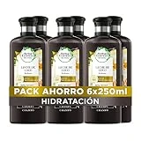Herbal Essences Champú Hidratante Con Leche De Coco, Para Pelo Seco 6x250