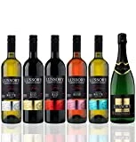 Vino sin alcohol 0,0 - LUSSORY PREMIUM - Pack degustación de vinos desalcoholizados (6x0,75 cl)