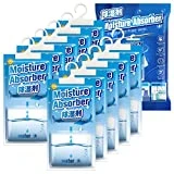 CONOPU 10 Piezas x 248 g (2,5 kg) Deshumidificadores Armarios, Antihumedad, Absorbentes de humedad para Colgar, Eliminar la Humedad para Armarios, Cuartos de Lavado, Eliminar Olores Desagradables
