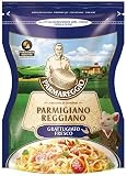 Parmigiano Reggiano 300g fresco frotado D O P Queso parmesano queso original Queso rallado