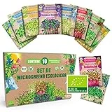 ZenGreens - Set de Semillas Germinadas Ecológicas (10 Variedades) - Brócoli, Alfalfa, Judías Mung, Berro, Rúcula, Remolacha, Acelga, Trigo, etc. - Semillas Microgreens (Lote de 10)